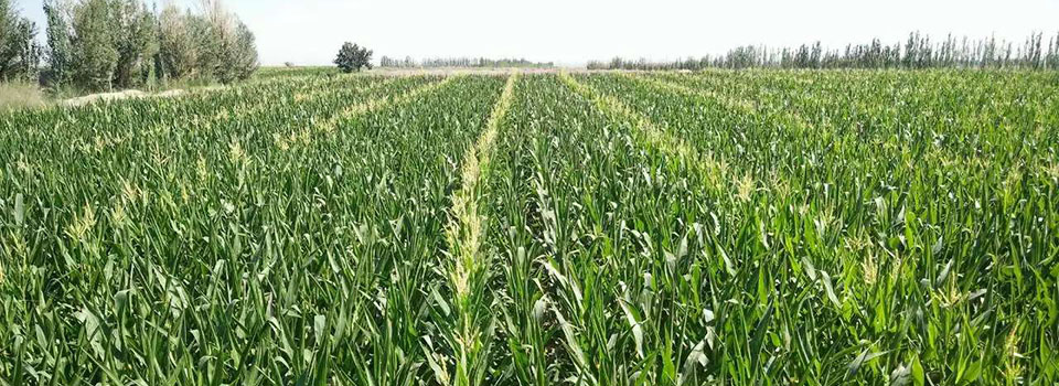 唐家璇:三一重工為國(guó)家爭(zhēng)了光